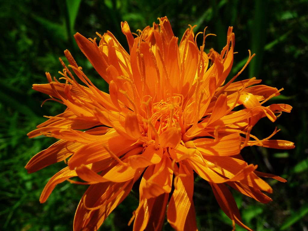 p1050031.jpg