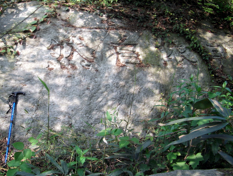 dscf0503.jpg