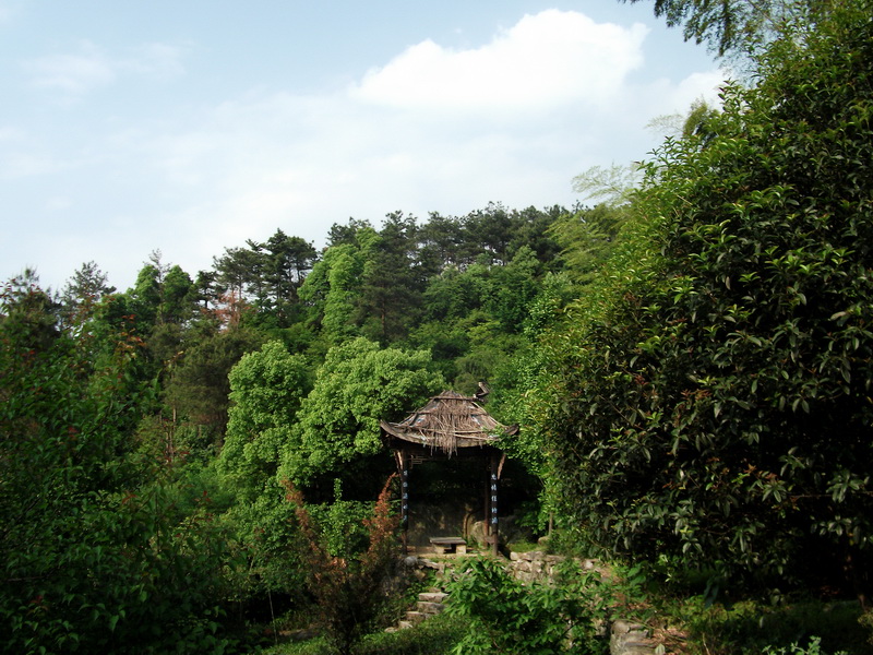 dscf0527.jpg