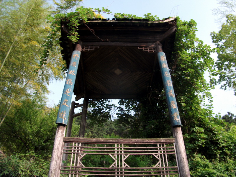 dscf0526.jpg