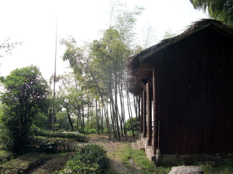dscf0532.jpg