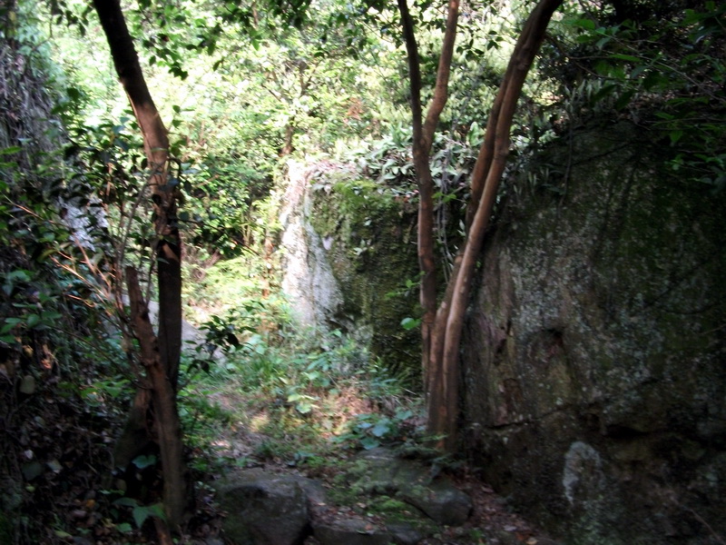 dscf0536.jpg