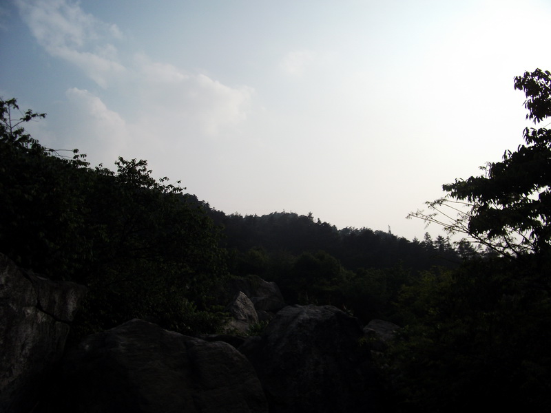 dscf0538.jpg