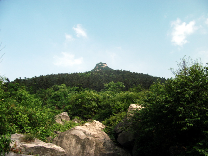 dscf0539.jpg