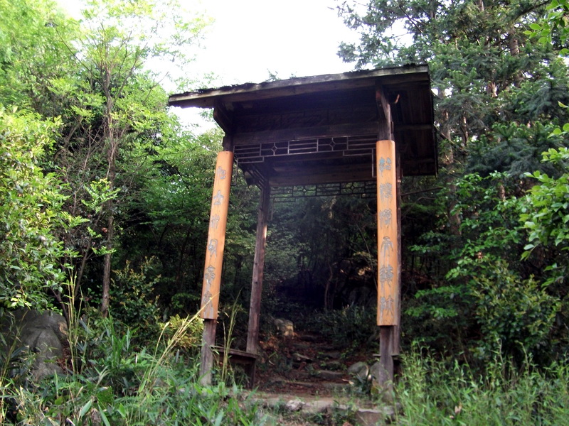 dscf0535.jpg