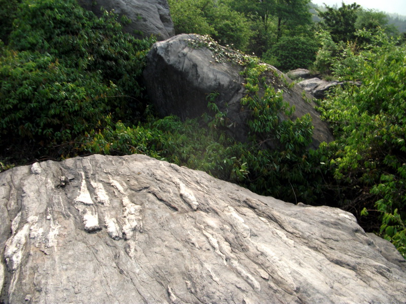 dscf0540.jpg