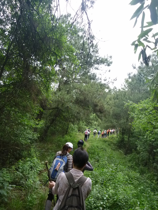p1060385_.jpg