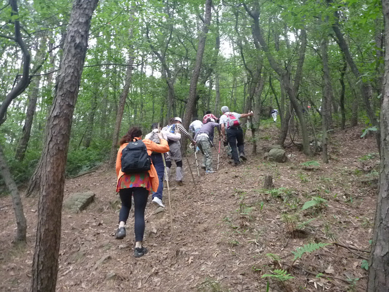 p1060384_.jpg