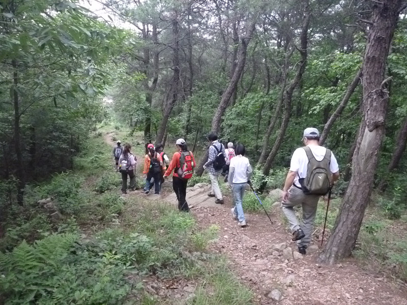 p1060388_.jpg