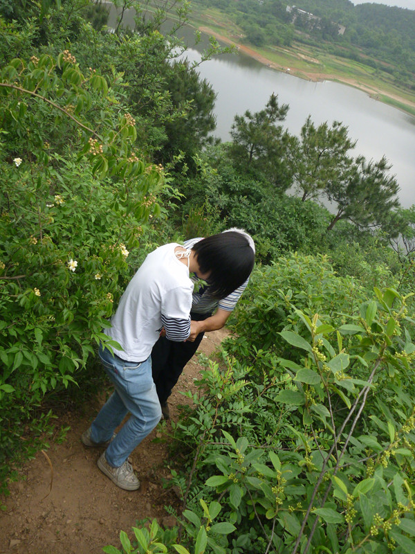 p1060403_.jpg