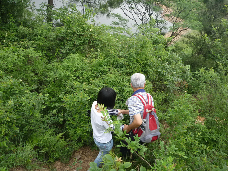 p1060407_.jpg