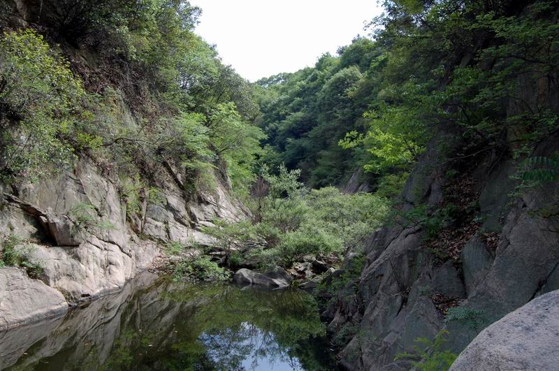 С dsc_0520.jpg