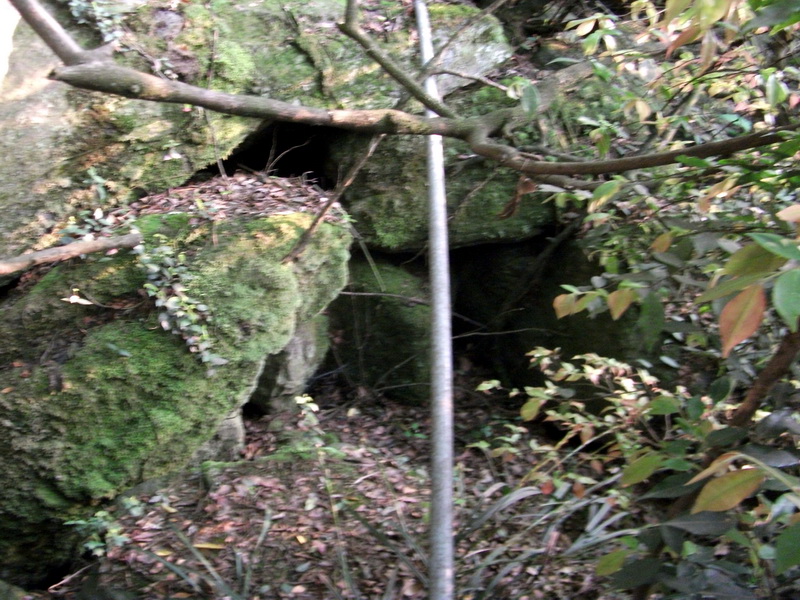 dscf0546.jpg