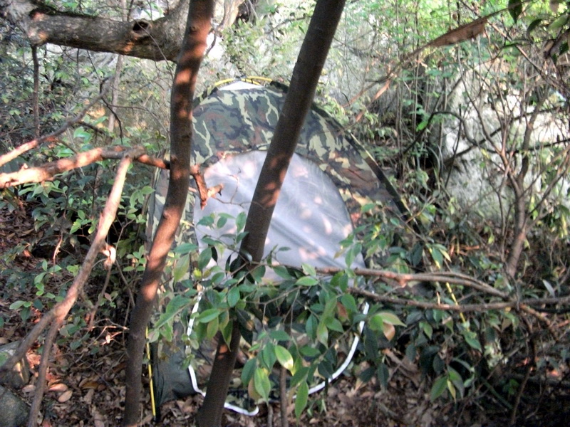 dscf0549.jpg