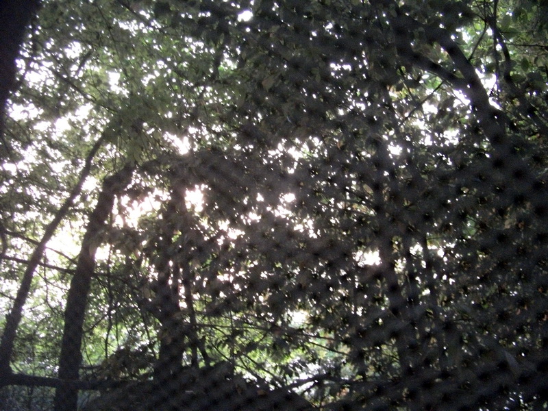 dscf0551.jpg