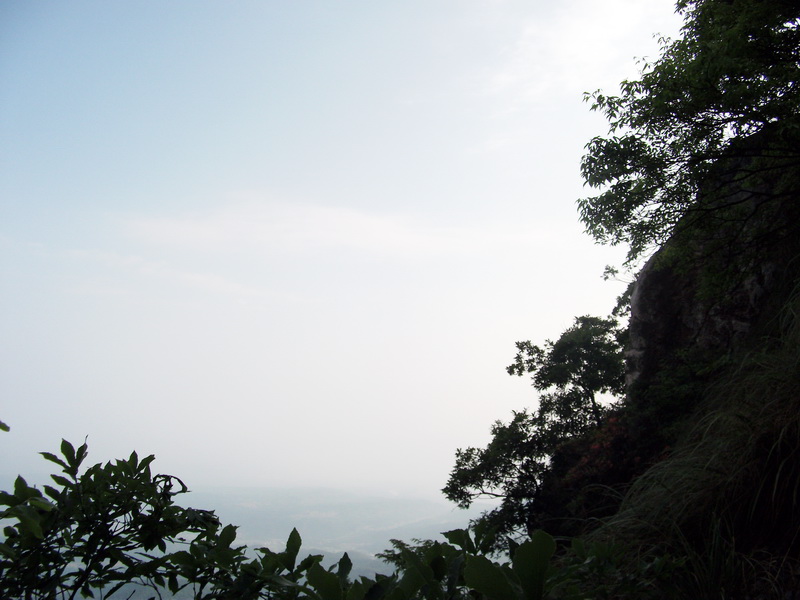dscf0563.jpg