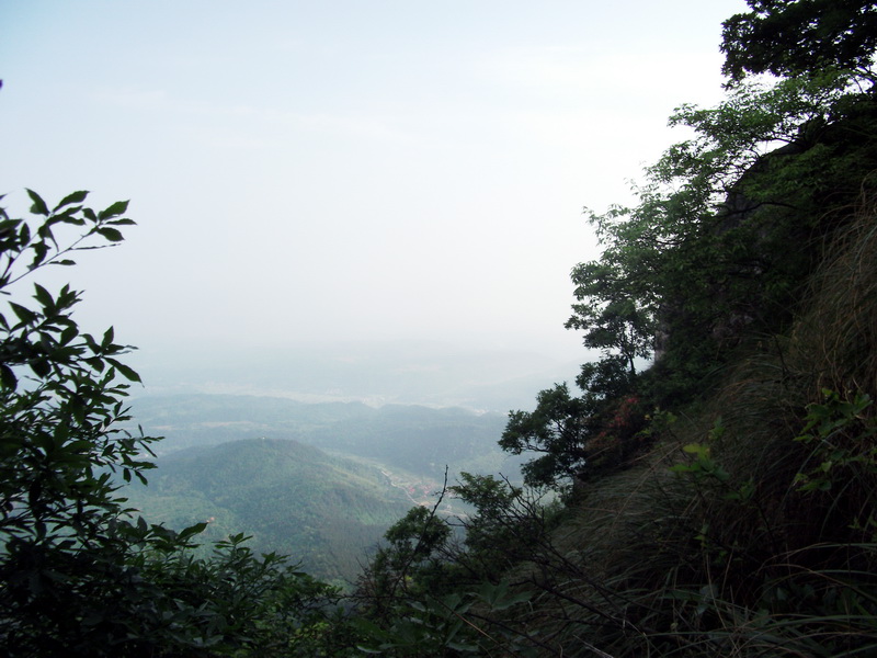 dscf0565.jpg