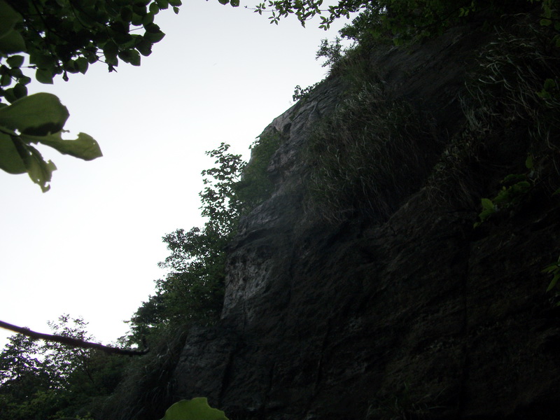 dscf0561.jpg