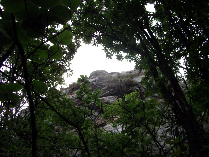 dscf0569.jpg