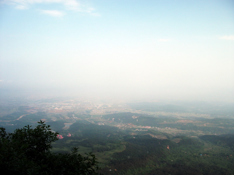 dscf0567.jpg