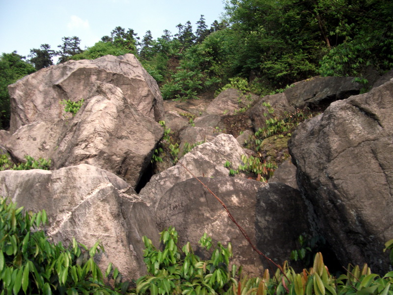 dscf0542.jpg