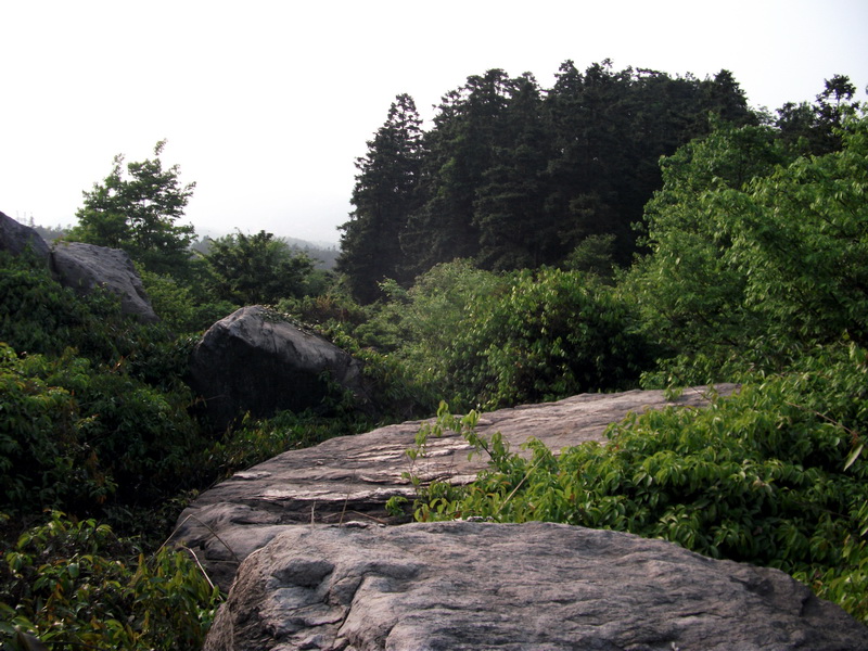 dscf0543.jpg
