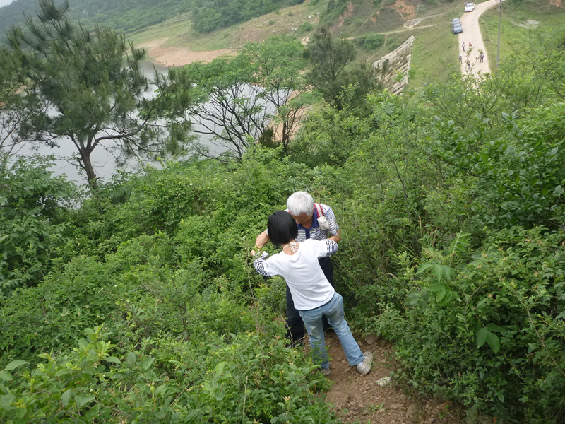 p1060406_.jpg