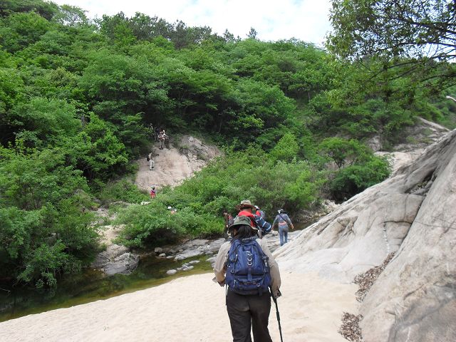 sdc13964.jpg