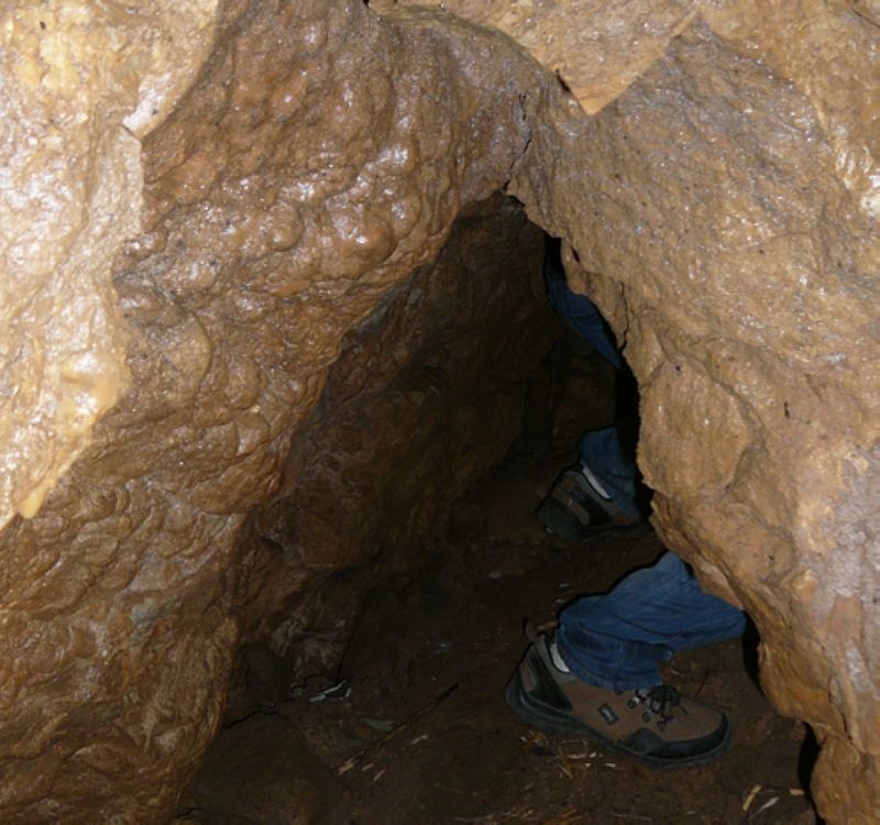 54.jpg