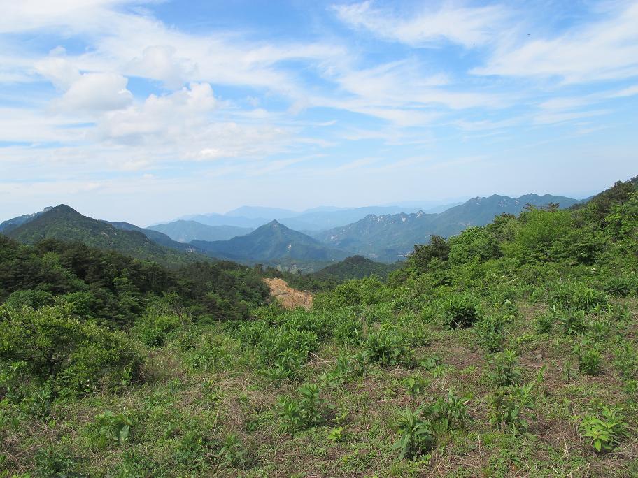 img_1996.jpg