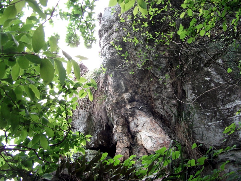 dscf0570.jpg