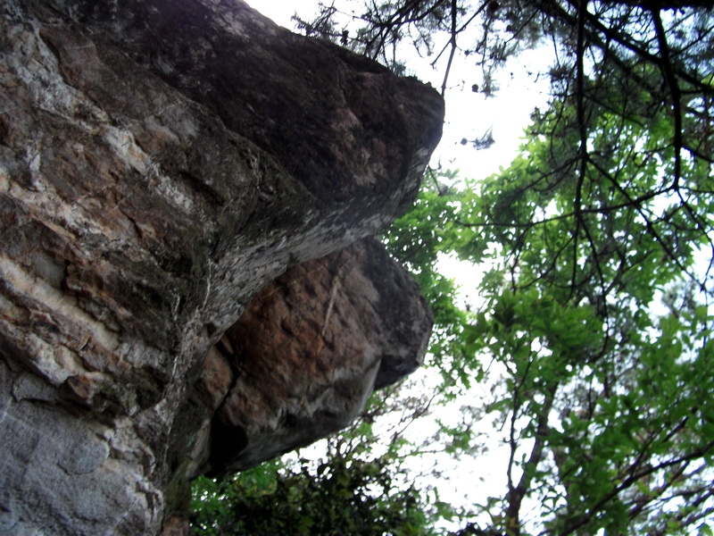 dscf0575.jpg
