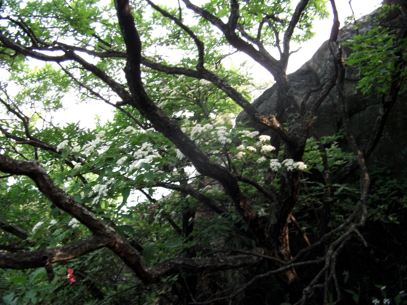 dscf0577.jpg