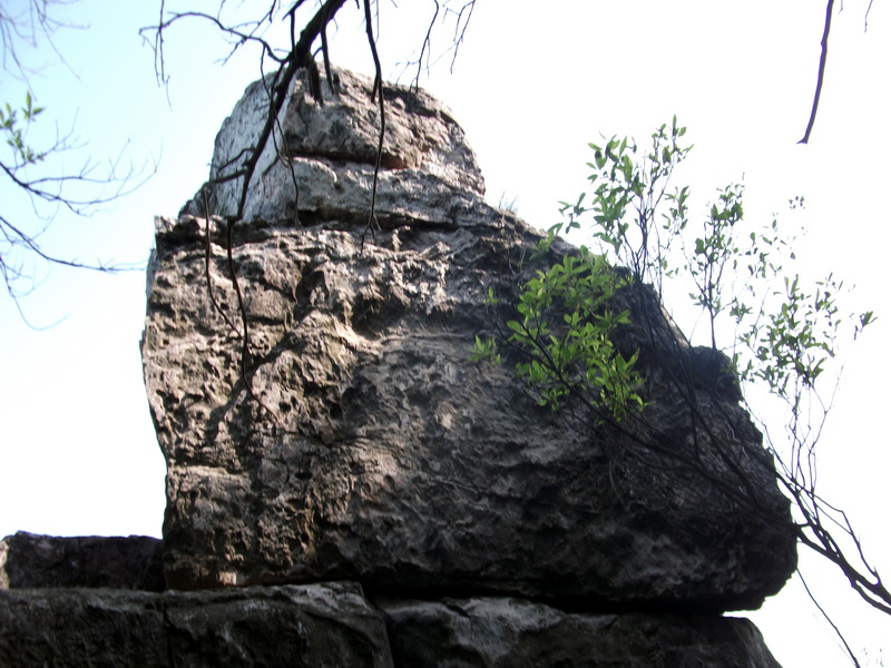 dscf0591.jpg