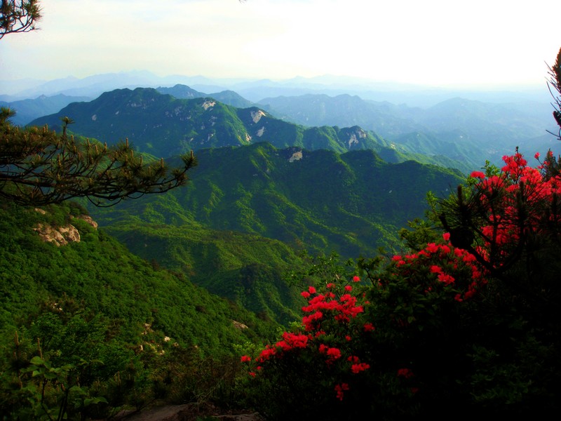 neo_img_dsc01225.jpg