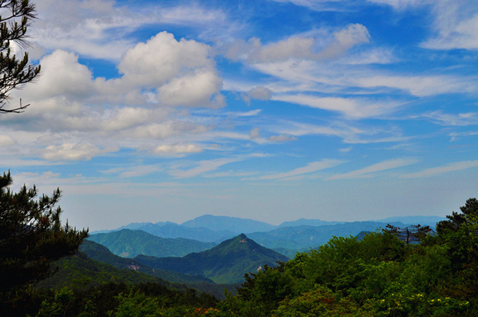 ʨӷֳ20110514 140.jpg