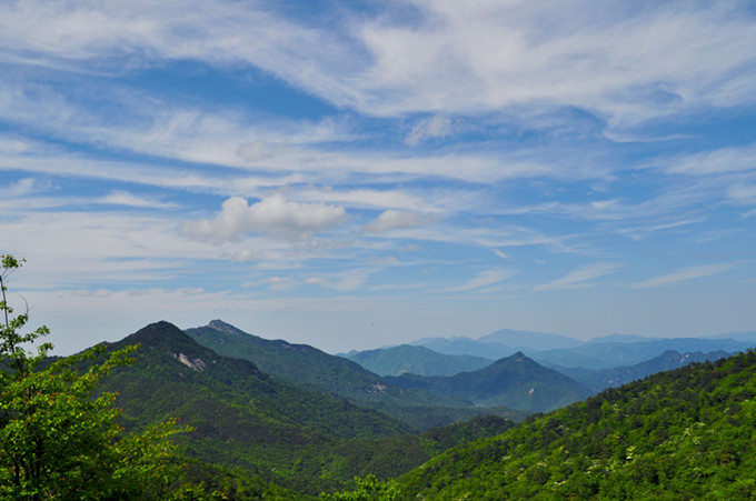 ʨӷֳ20110514 132.jpg