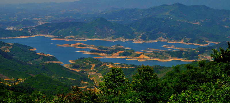 ʨӷֳ20110514 534.jpg