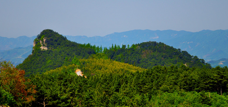 ʨӷֳ20110514 426.jpg