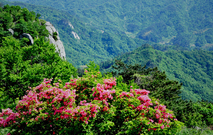 ʨӷֳ20110514 197.jpg
