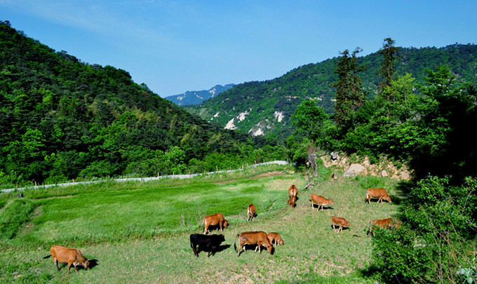 ʨӷֳ20110514 409.jpg