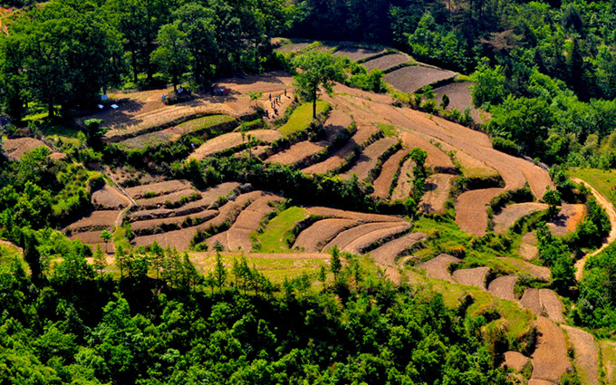 ʨӷֳ20110514 450.jpg
