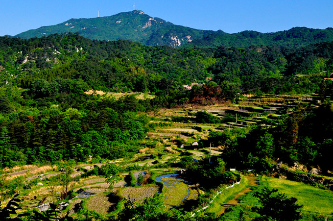 ʨӷֳ20110514 400.jpg
