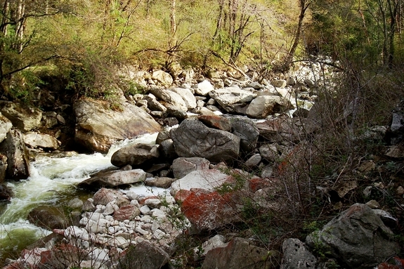 neo_img_dsc00904.jpg