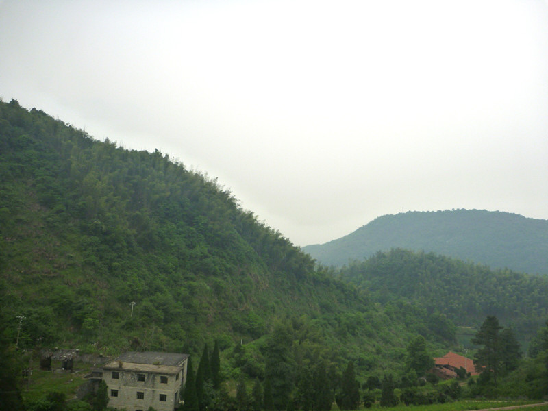 p1060290_.jpg