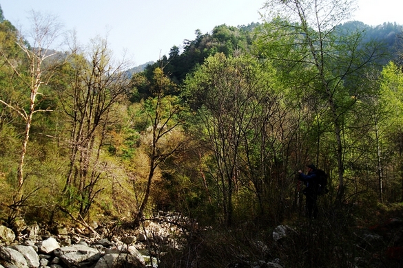 neo_img_dsc00905.jpg