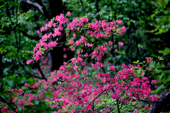 ʨӷֳ20110514 164.jpg