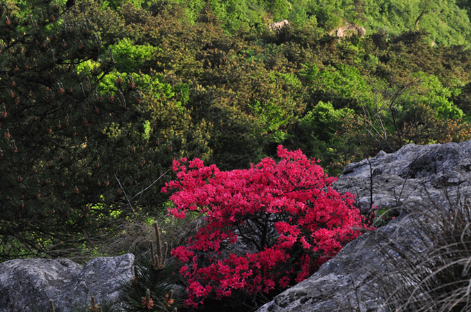 ʨ20110514 342.jpg