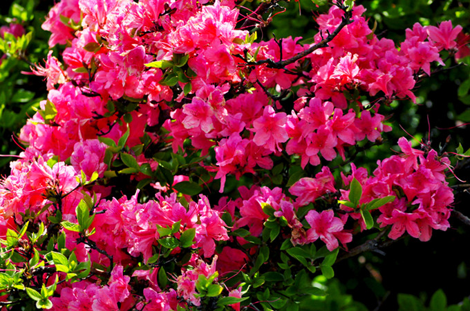 ʨӷֳ20110514 187.jpg