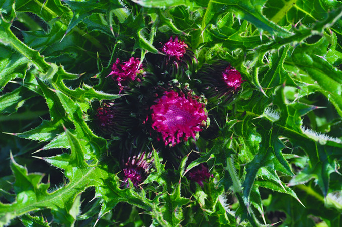 ʨӷֳ20110514 299.jpg